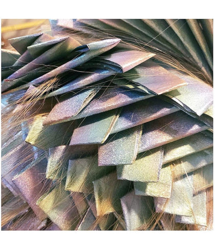 Framar 5 x 11 Pop Up Hair Foil 500 Sheets